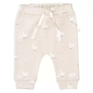Md.-Hose - 226/HONEY AOP