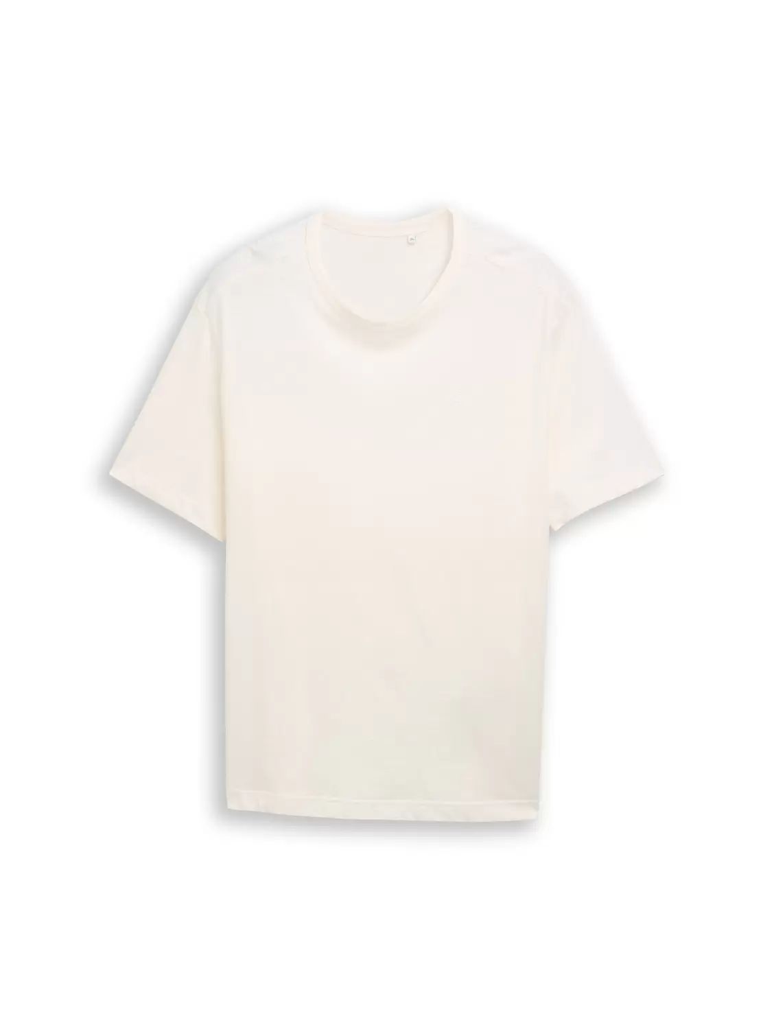 Plus t-shirt with print male