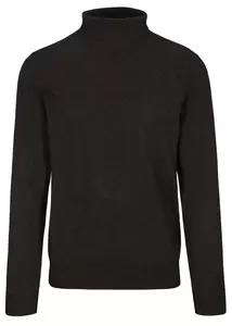 Rollkragen Pullover Basic,uni