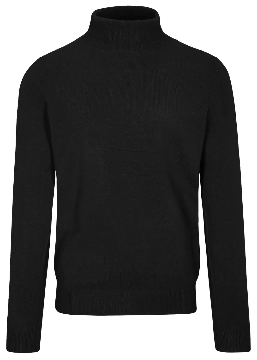 Rollkragen Pullover Basic,uni male