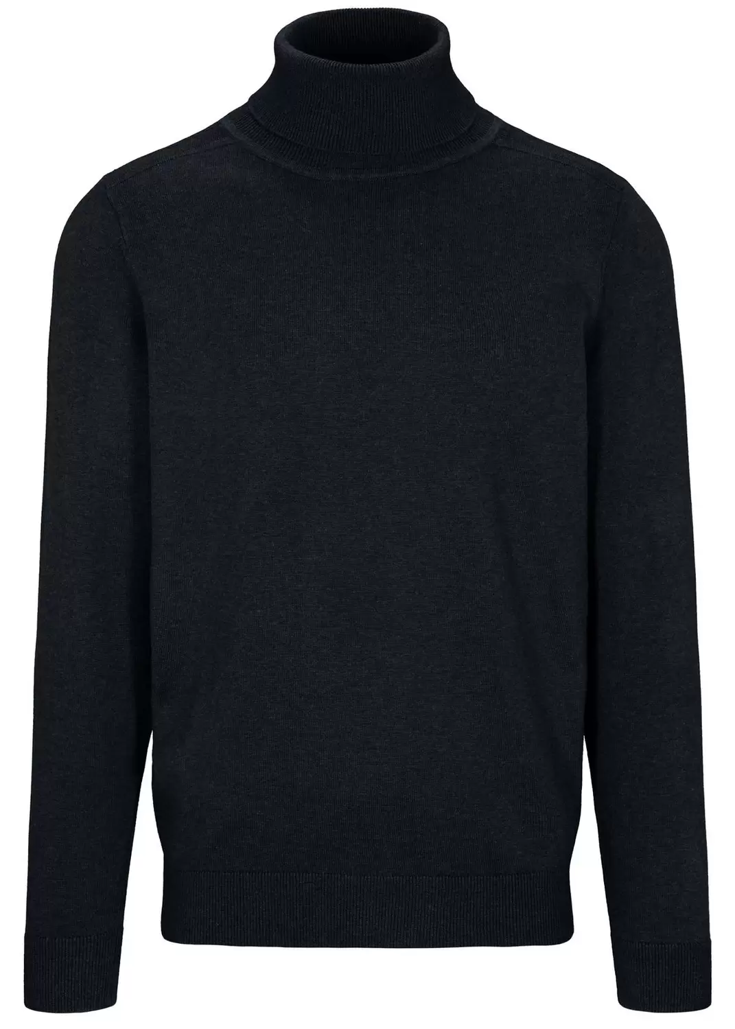Rollkragen Pullover, 1/1 Arm male
