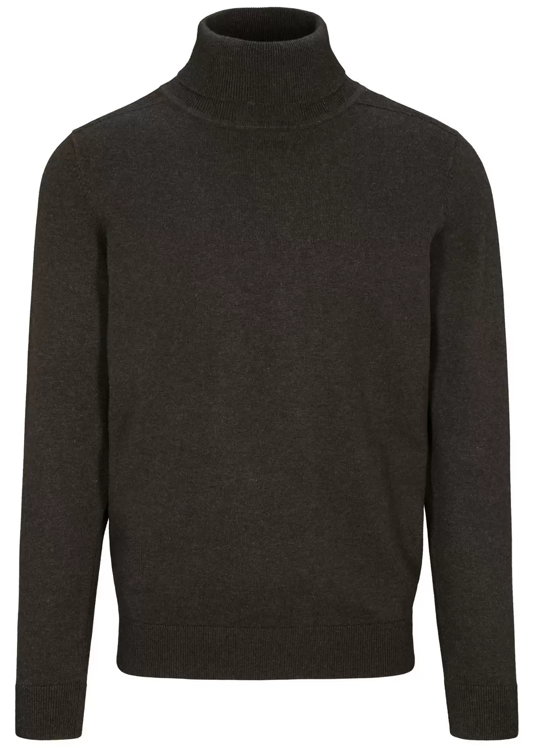 Rollkragen Pullover, 1/1 Arm male