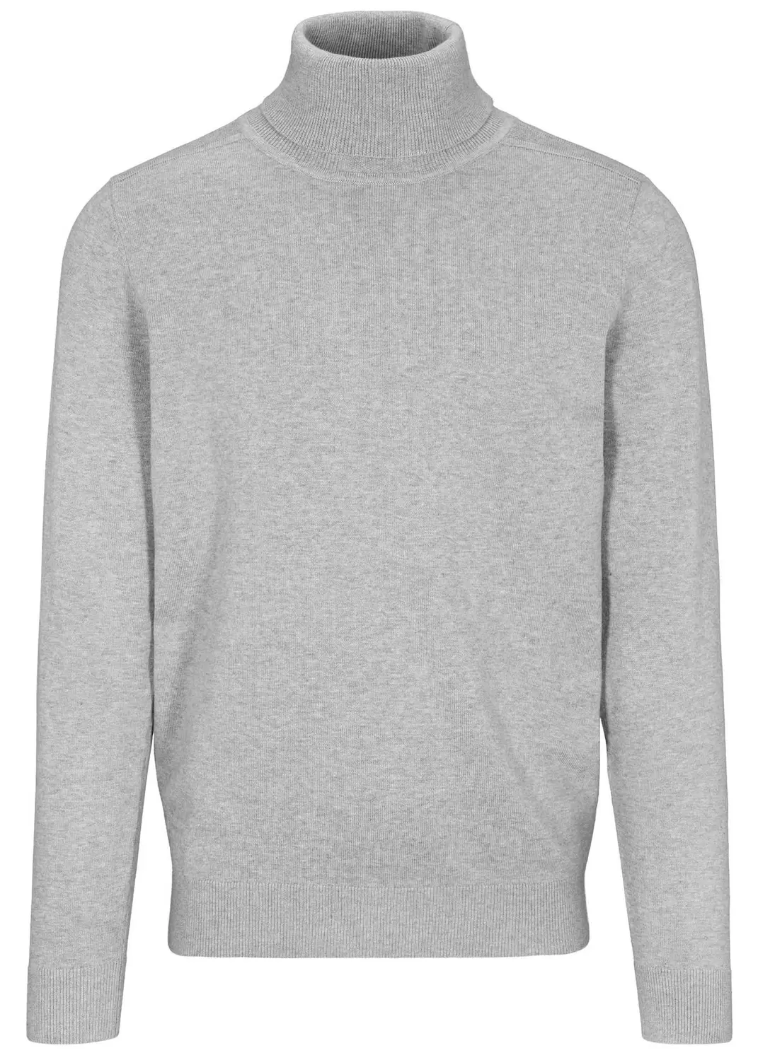Rollkragen Pullover, 1/1 Arm male