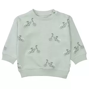 Kn.-Sweatshirt - 505/LIGHT MINT AOP