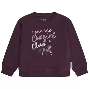 Md.-Sweatshirt - 428/DARK BERRY