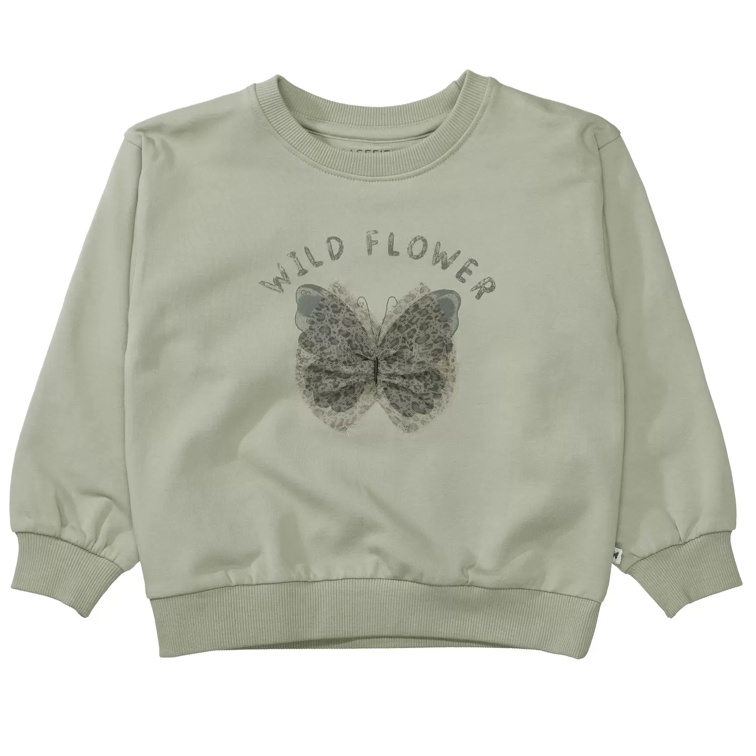 Md.-Sweatshirt