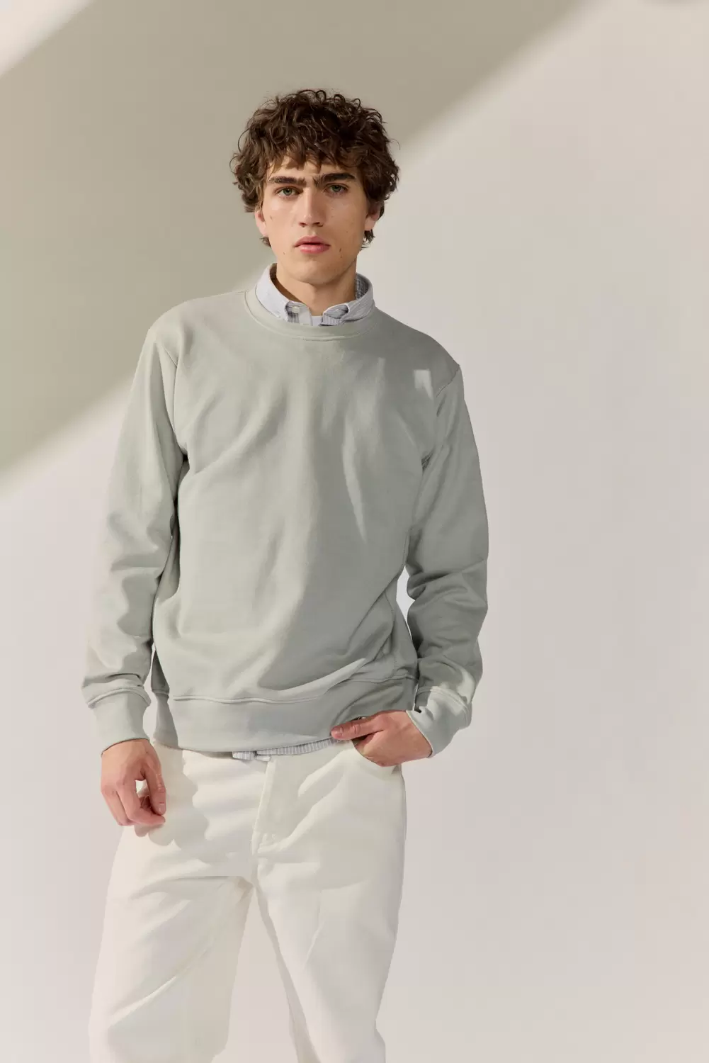 Rundhals Sweat Shirt