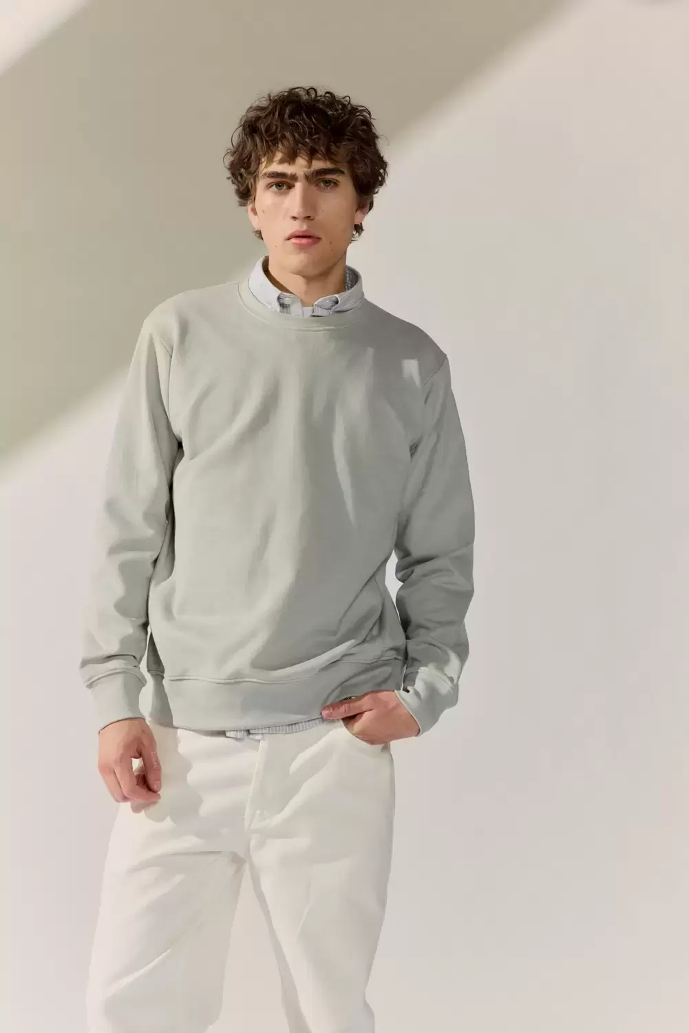 Rundhals Sweat Shirt male