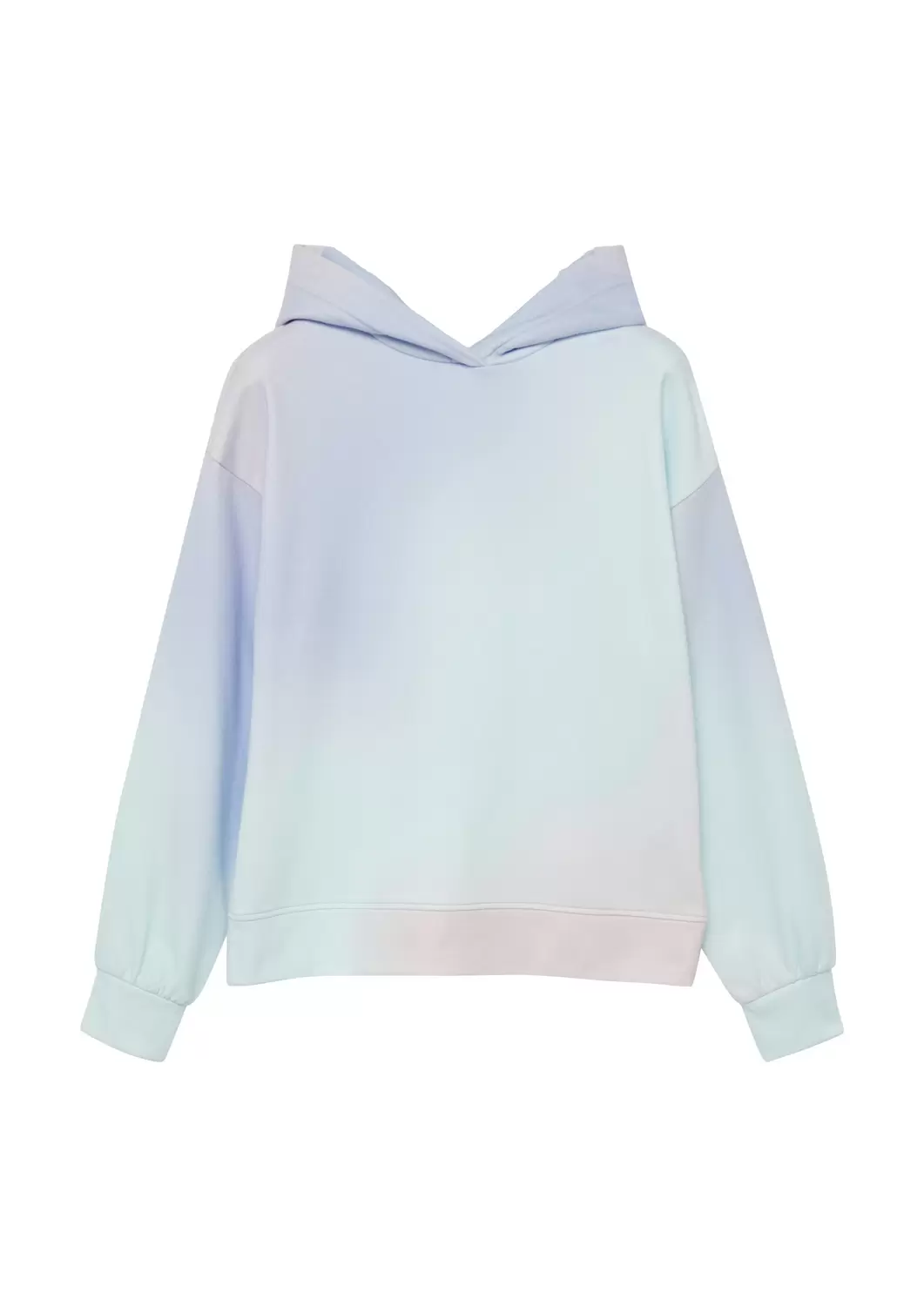 Sweatshirt - 53D2/BLUE