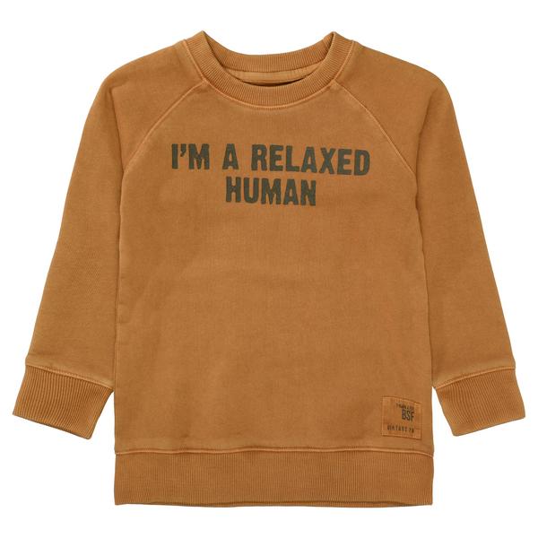 Kn.-Sweatshirt - 704/HAZEL BROWN