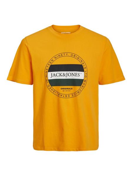 JORCODYY TEE SS CREW NECK SN JNR