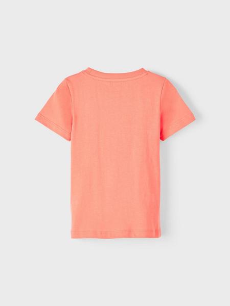 NMMDONALD SS TOP BOX - 280000/Coral