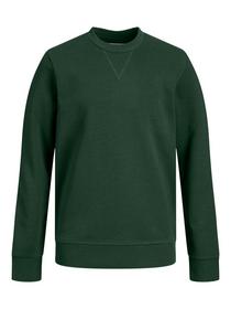 JJEBASIC SWEAT CREW NECK JNR