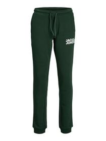 JPSTGORDON JJNEWSOFT SWEAT PANT NOOS JNR