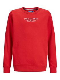 JPRBLUARCHIE SWEAT CREW NECK SG JNR