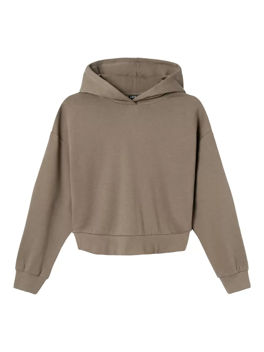 NLFMILJA LS BRU SWEAT W. HOOD