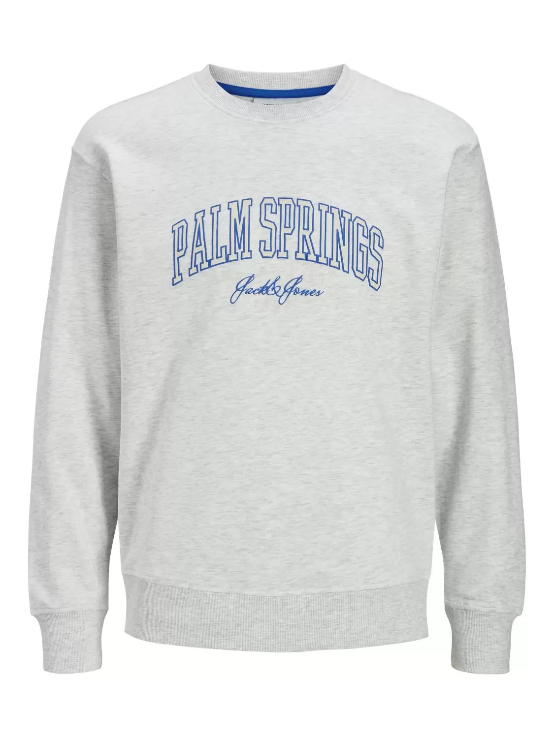 JJDETROIT SWEAT CREW NECK male