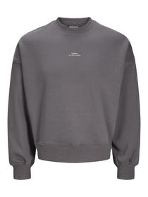 Sweatshirt mit Rundhalsausschnitt und Rückenprint