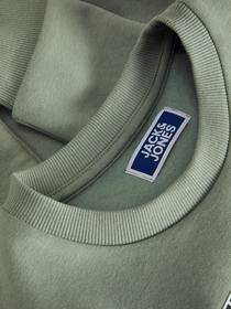 JJECALEB VARSITY SWEAT CREW NOOS MNI