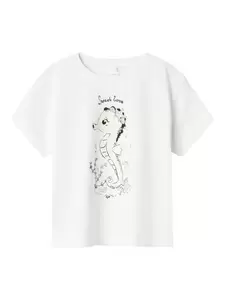 NMFZOSIGNE NREG SS TOP