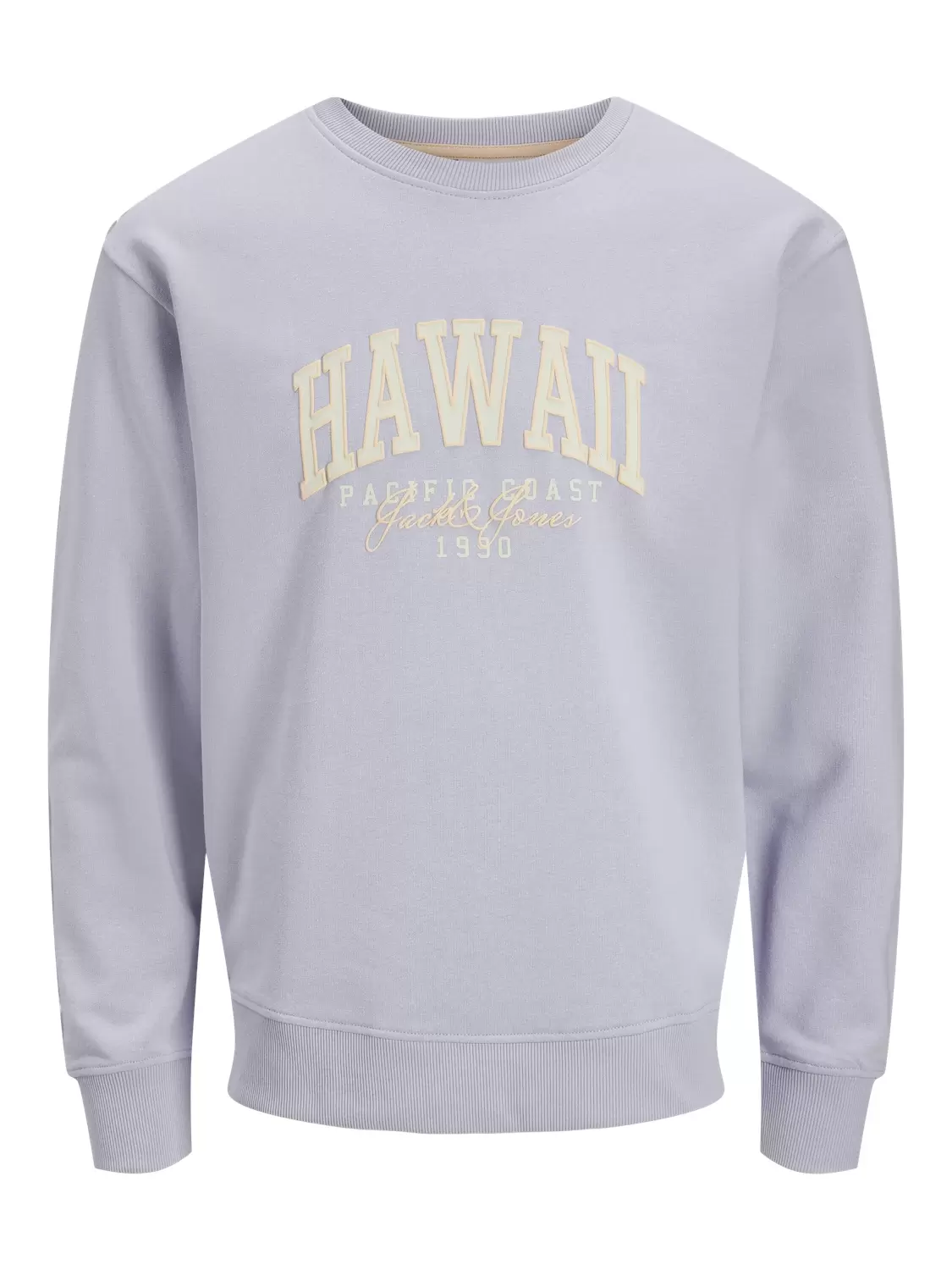 JJDETROIT SWEAT CREW NECK male