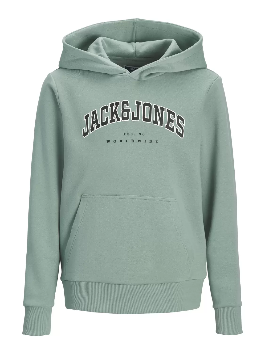 JJECALEB VARSITY SWEAT HOOD NOOS JNR