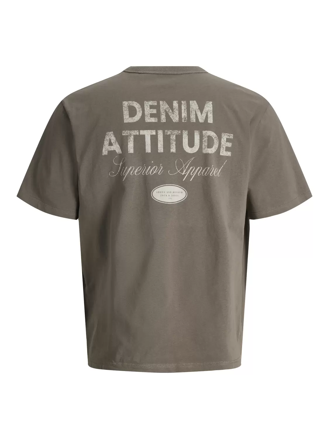 JJEDOVER GRAPHIC TEE SS CREW NECK SN