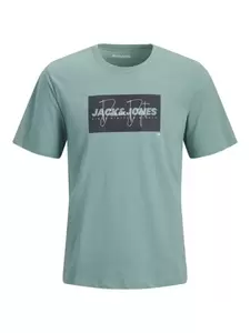 JJCOLE PRINT TEE SS CREW NECK JNR