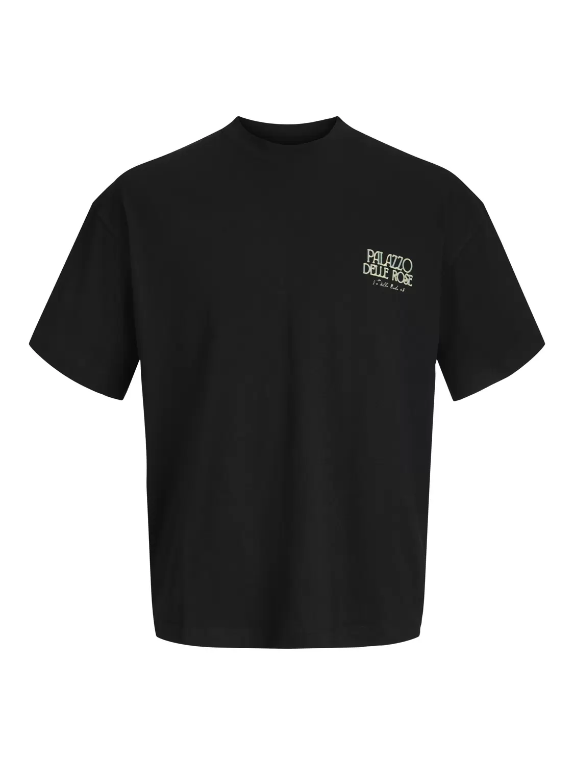 JORCOTEDAZUR PHOTOBACK TEE SS CN male