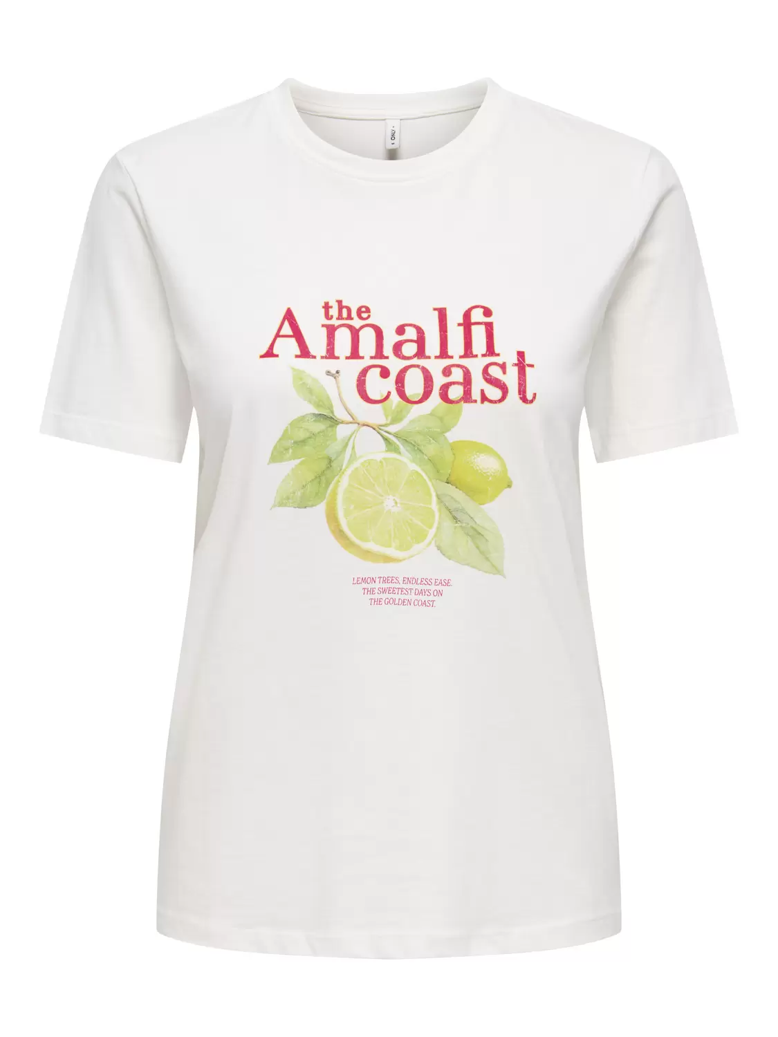 ONLHENNY REG S/S TOP BOX CS JRS female