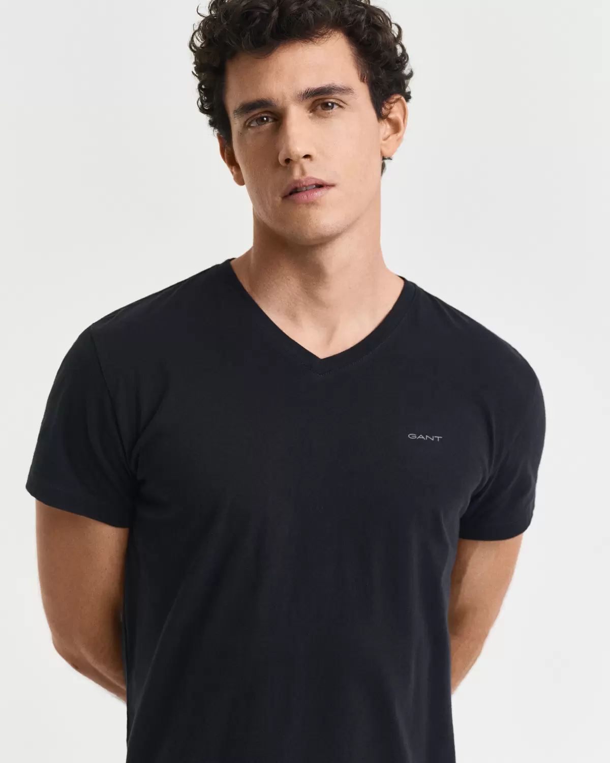 V-NECK T-SHIRT 2-PACK male