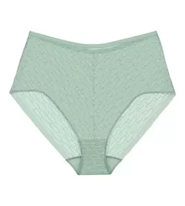 Triumph Signature Sheer Maxi EX