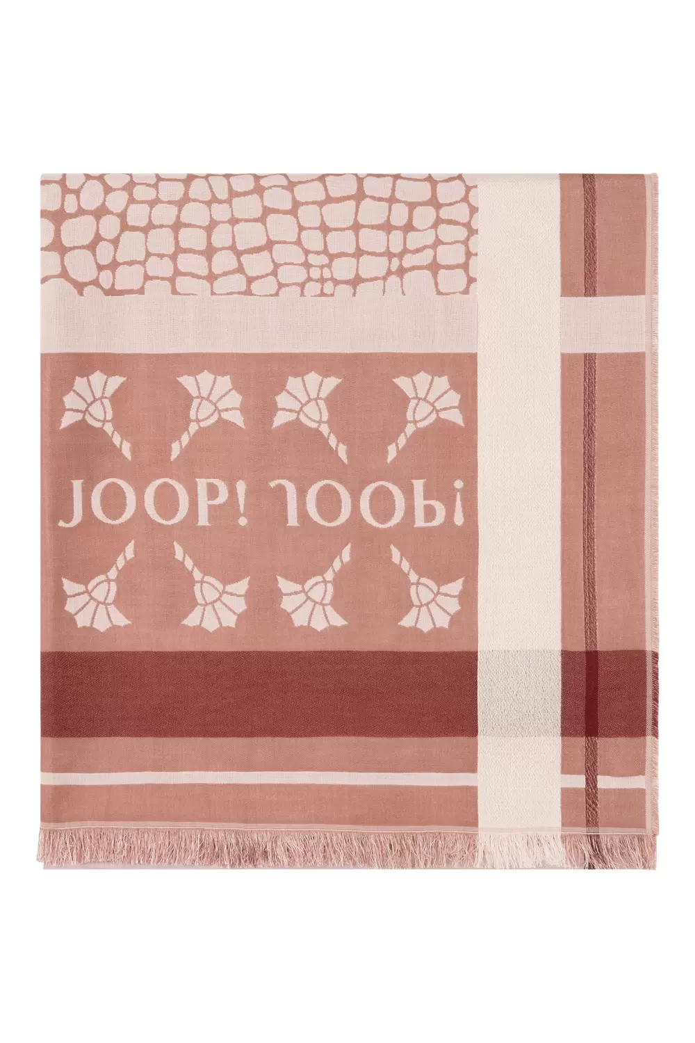 58 254AS58Alessia2 10018785