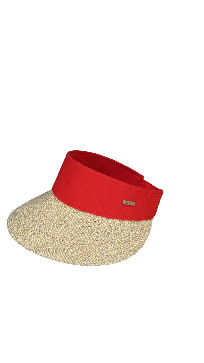 Vesder Visor