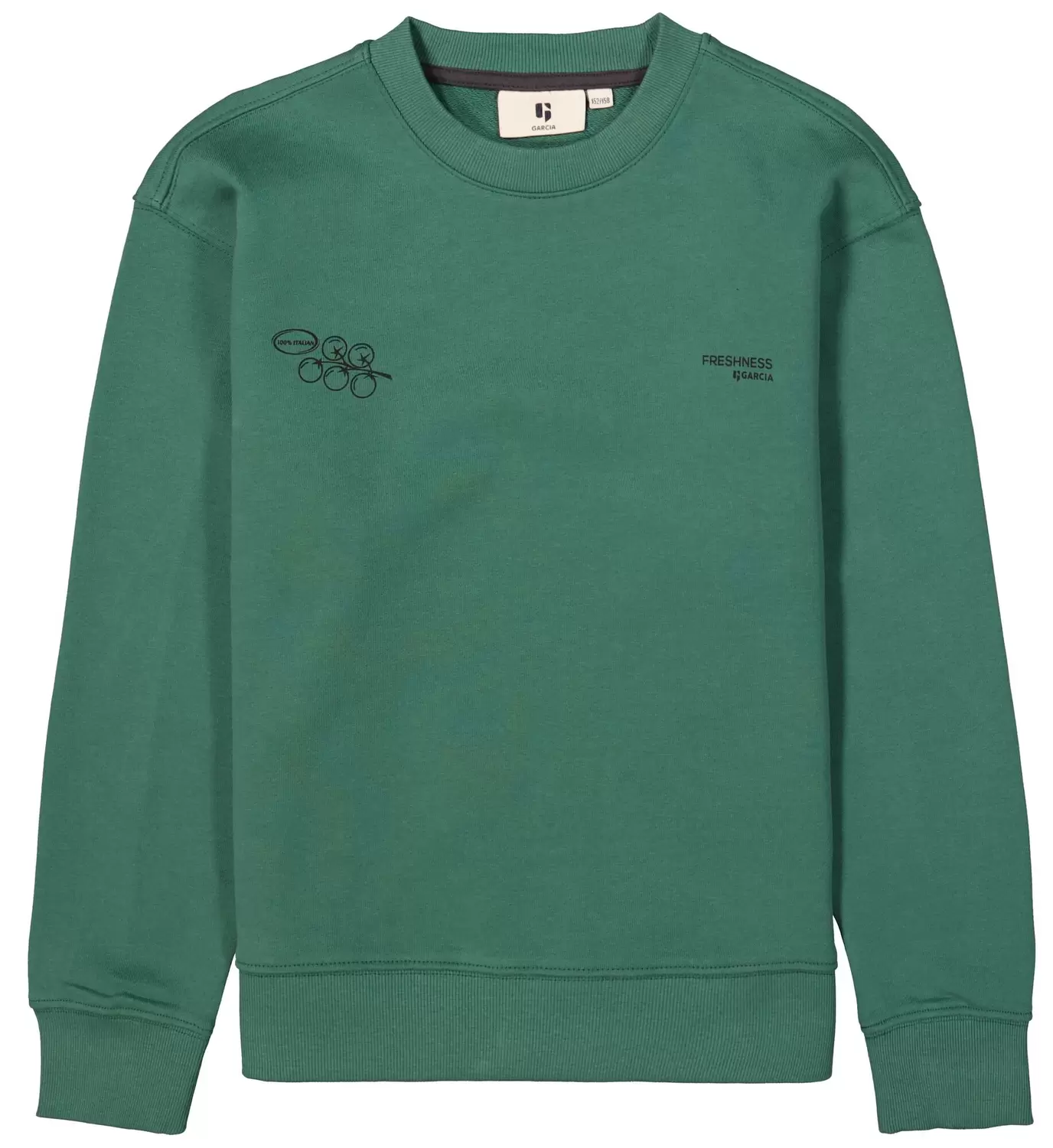 H53464_boys sweat - 5911/conifer