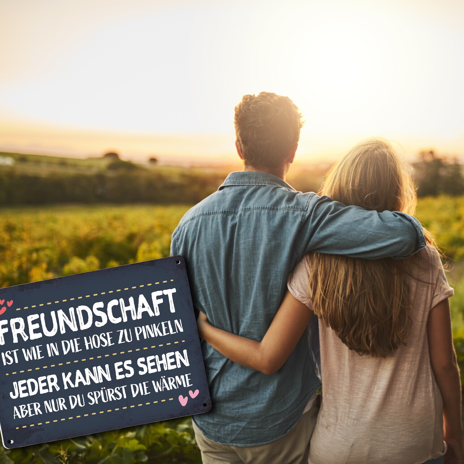 Freundschaft ist wie in die Hose zu pinkeln Metallschild Freunde Herz Freundin - Bild 10 von 30