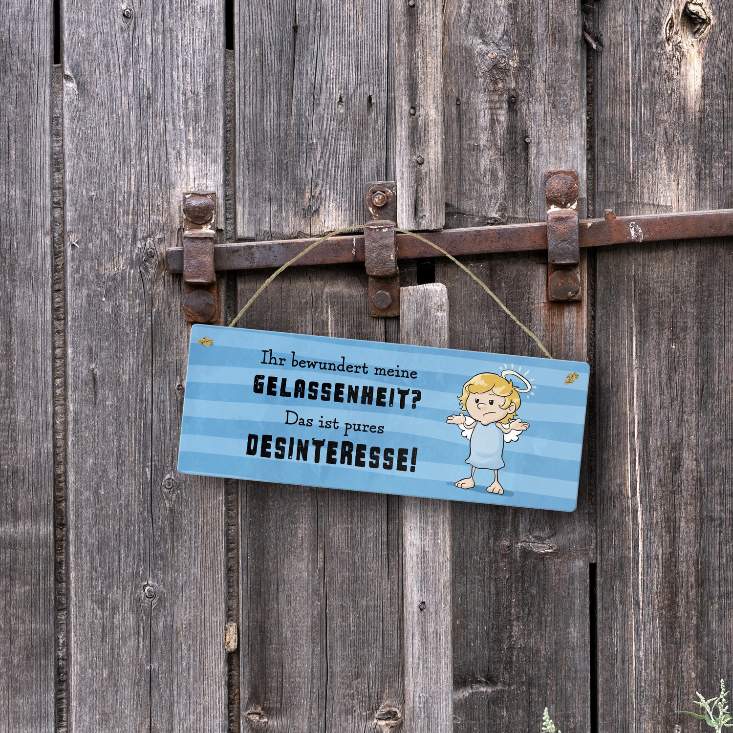 Bild 15 von 20