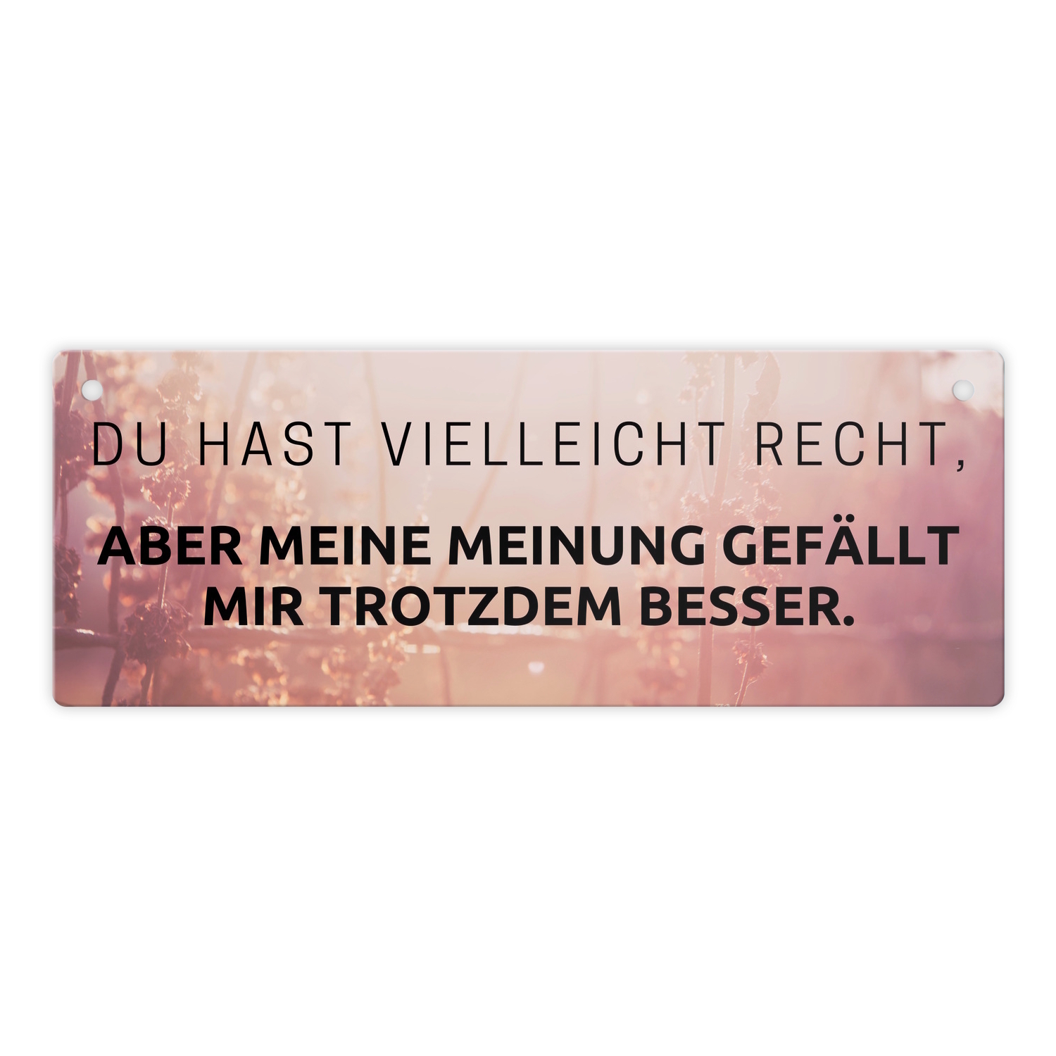 Bild 13 von 20