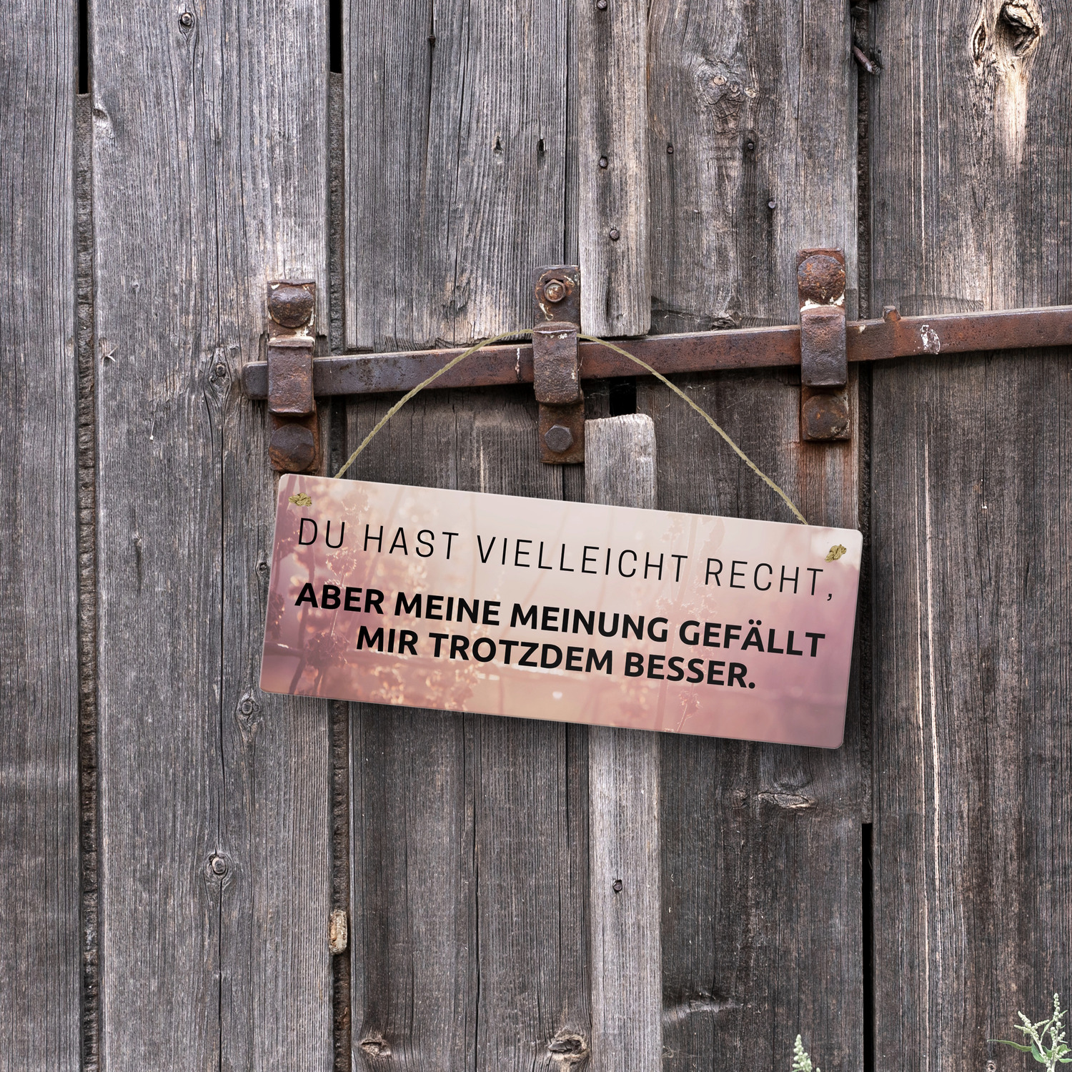 Bild 15 von 20