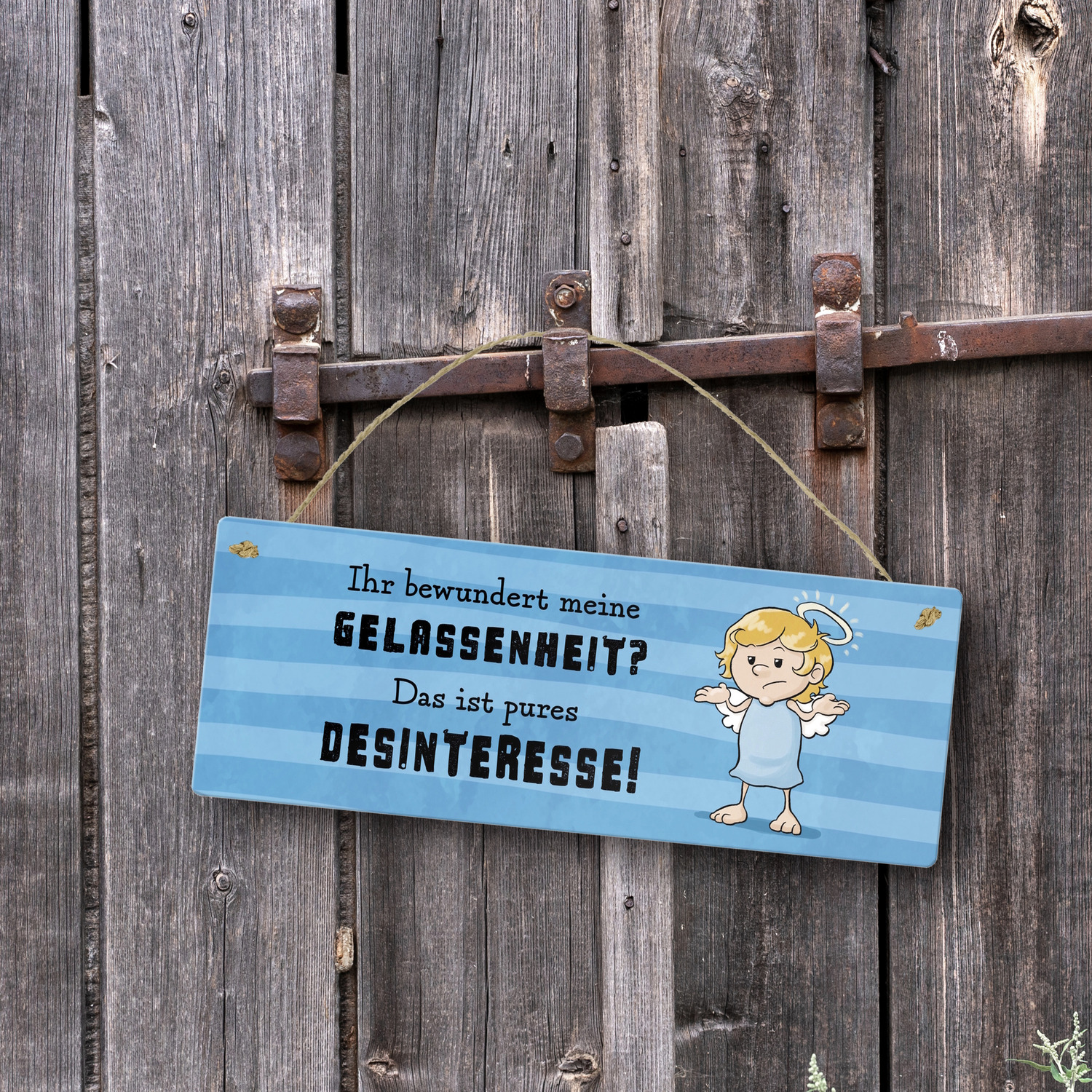 Bild 19 von 20