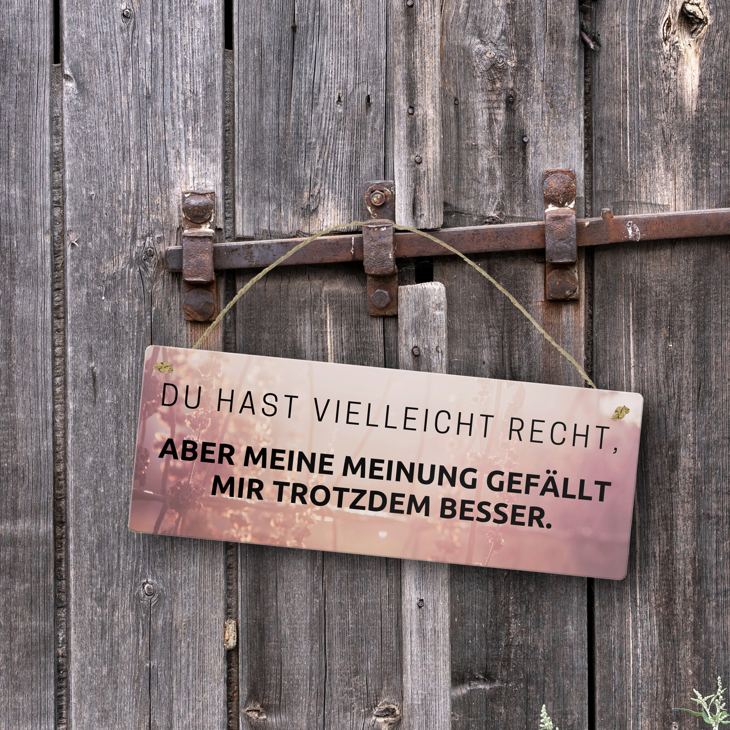 Bild 19 von 20