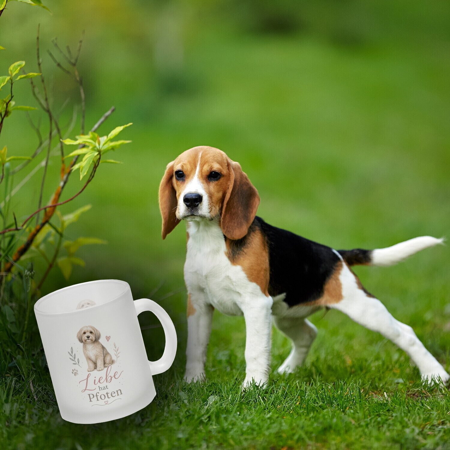 Glas Tasse Liebe hat Pfoten - Trinkglas mit süssem Hund Becher – Ansicht 3
