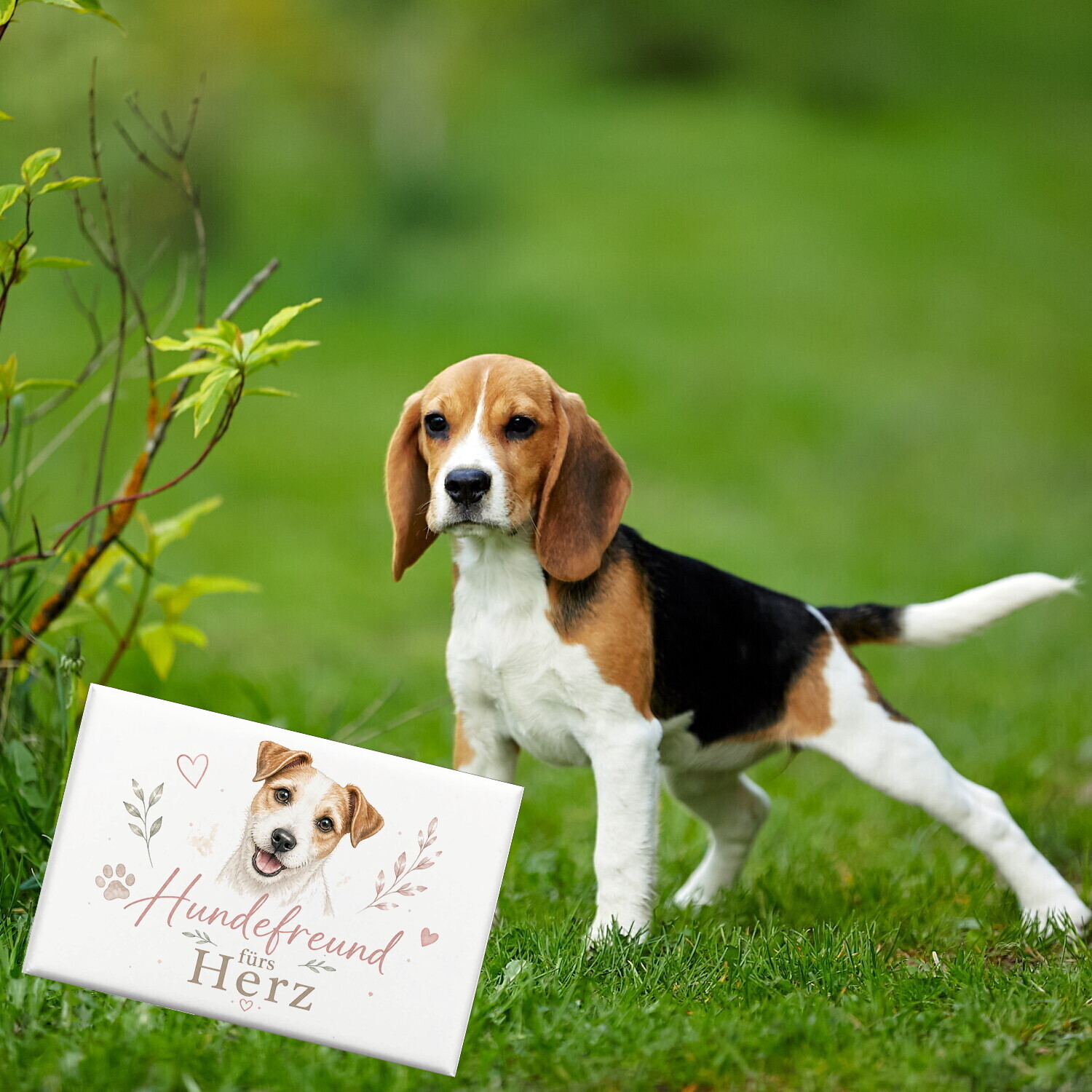 Souvenir Magnet Hundefreund fürs Herz - Hundemotiv Dekomagnet – Ansicht 4