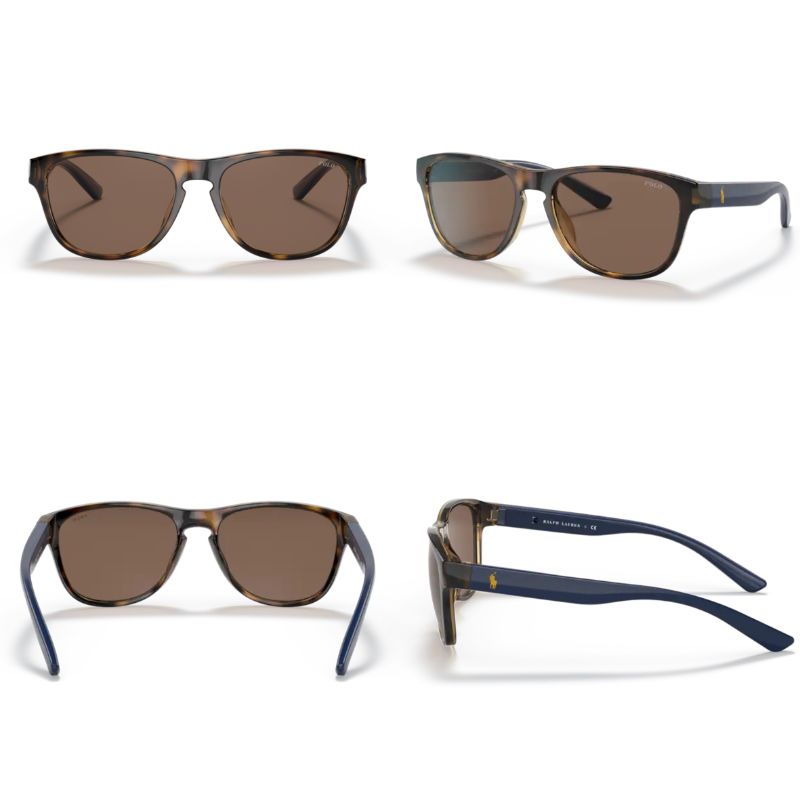 Polo By Ralph Lauren PH4180U Habana Brillante/Marrón