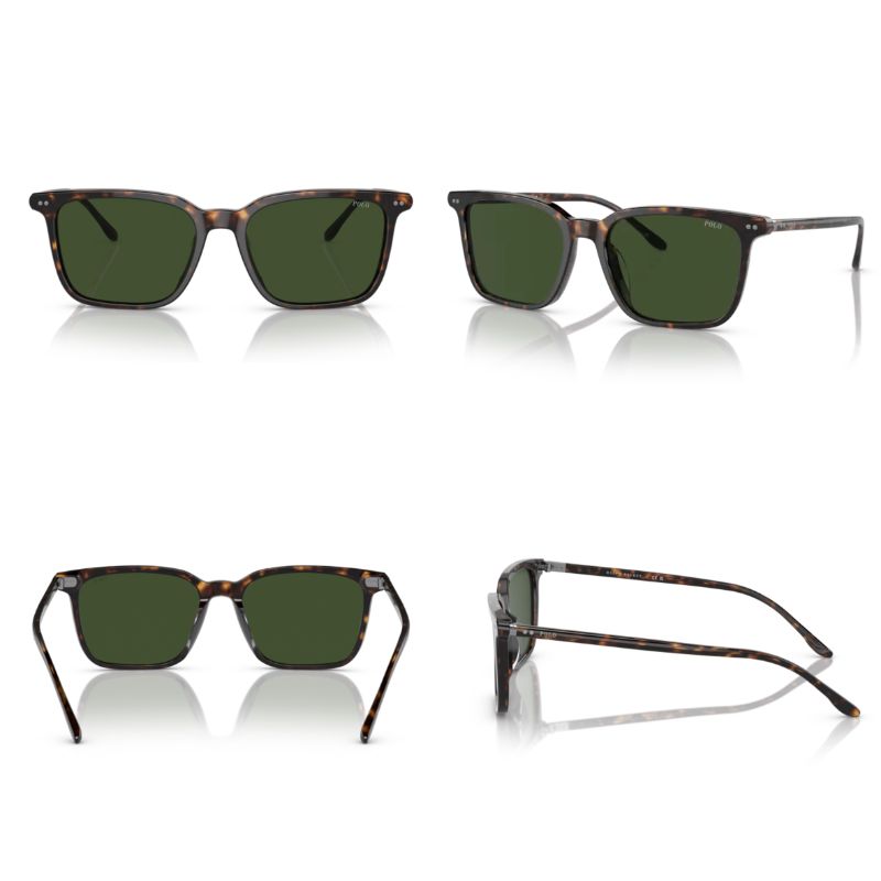 Polo By Ralph Lauren PH4194U Habana Oscuro Brillante/Verde Oscuro