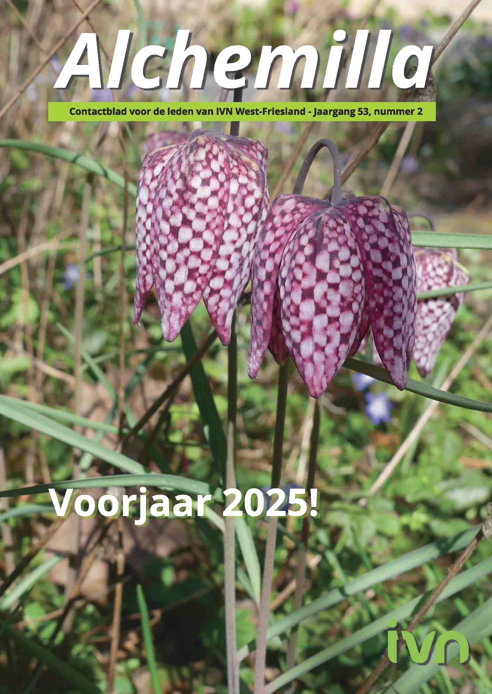 Cover editie april 2025
