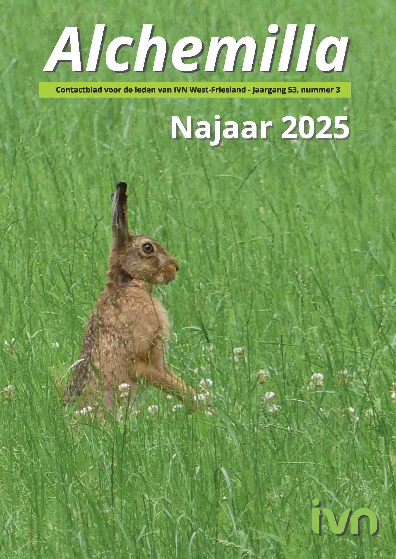 Cover editie augustus 2025