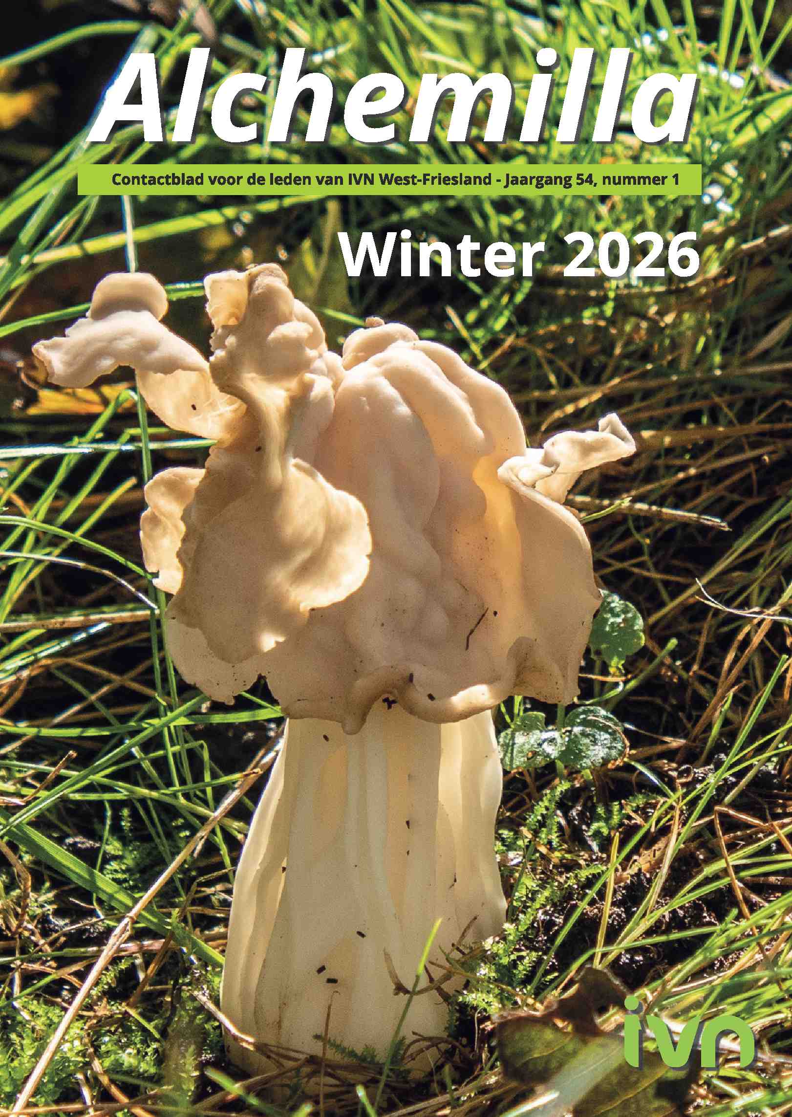 Cover editie december 2025