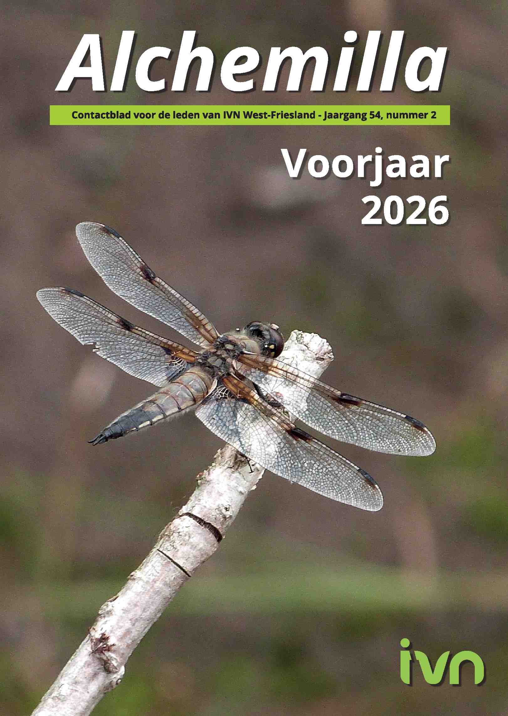 Cover editie mei 2026