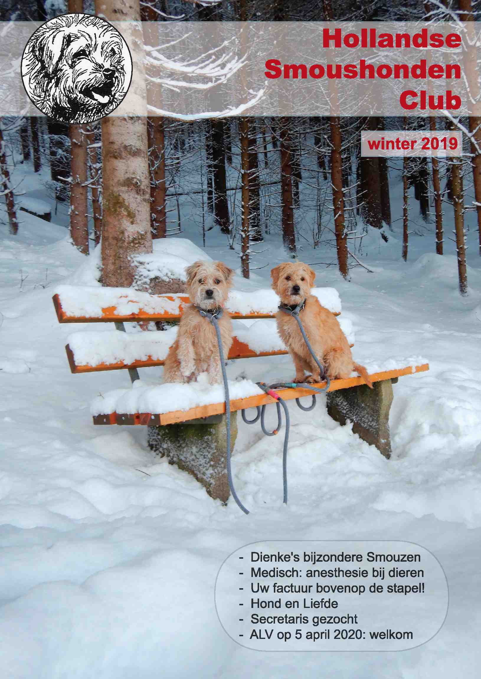 Cover editie januari 2020